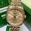 Rolex Datejust<br>   116231